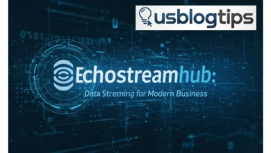 EchoStreamHub