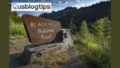 Black Hills National Forest