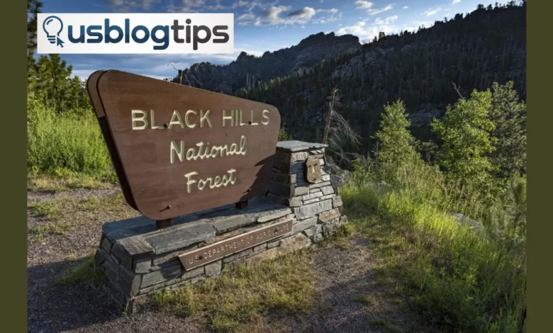 Black Hills National Forest