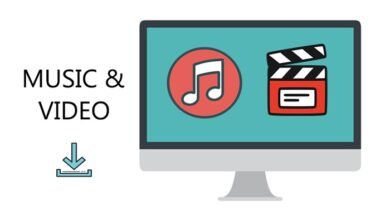 Best Video Downloaders in 2026